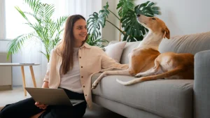 apartemen pet friendly